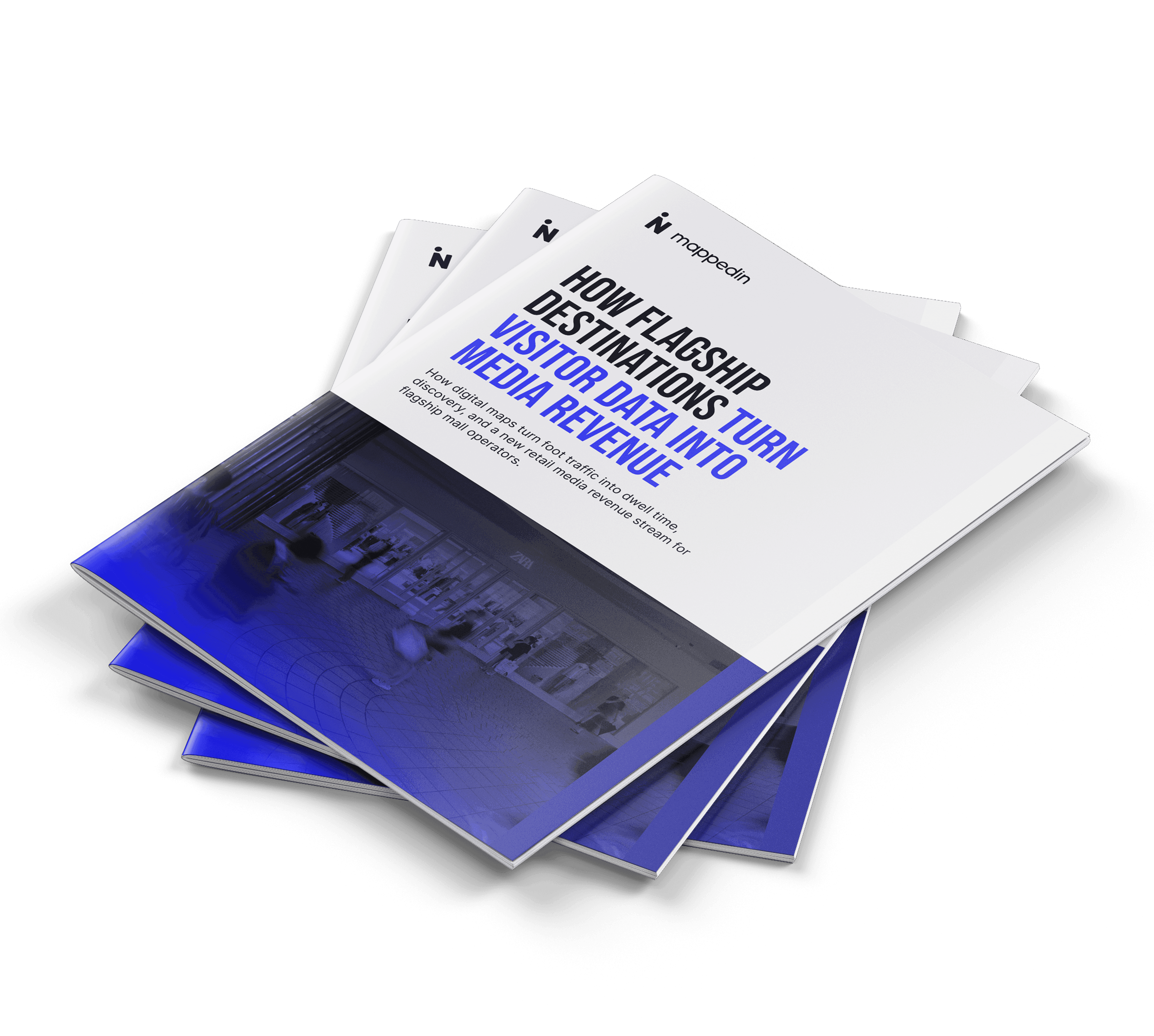 Flagship retail destination revenue guide