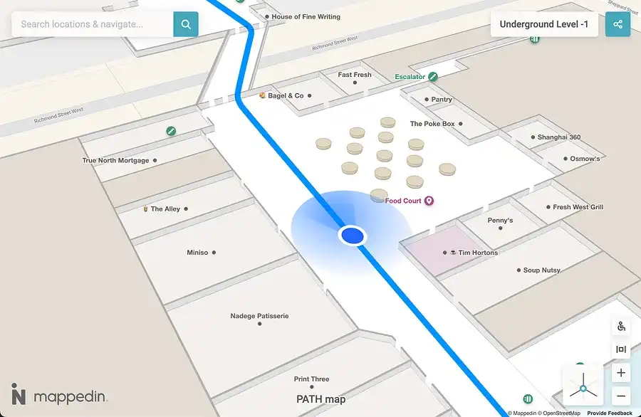 Blue dot navigation example