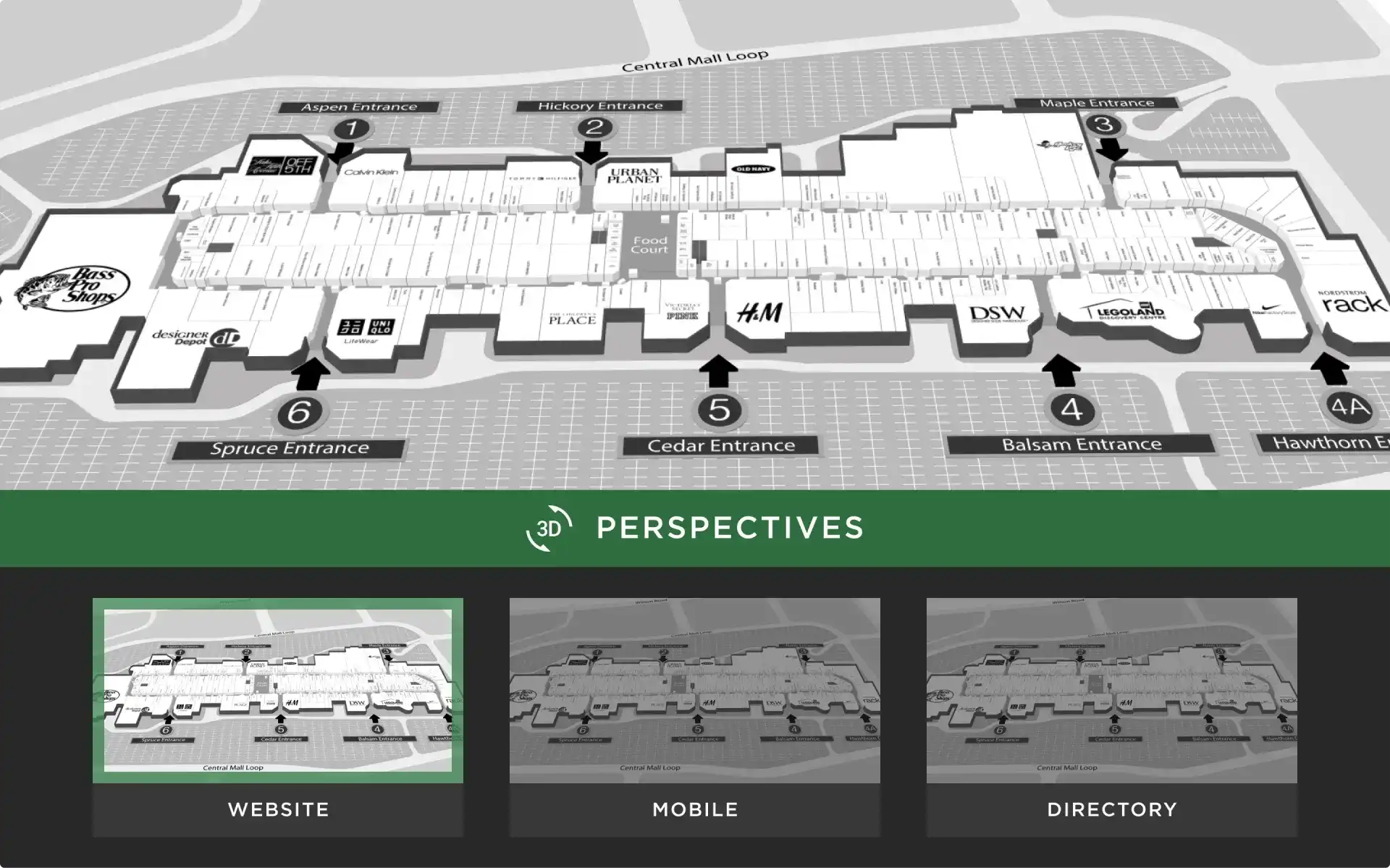 3D perspectives