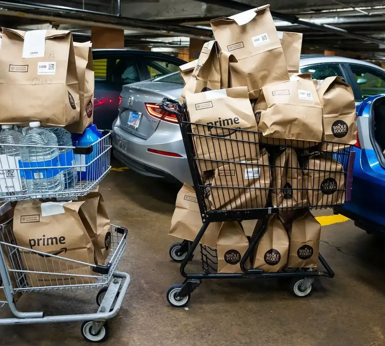 shopping carts grocery