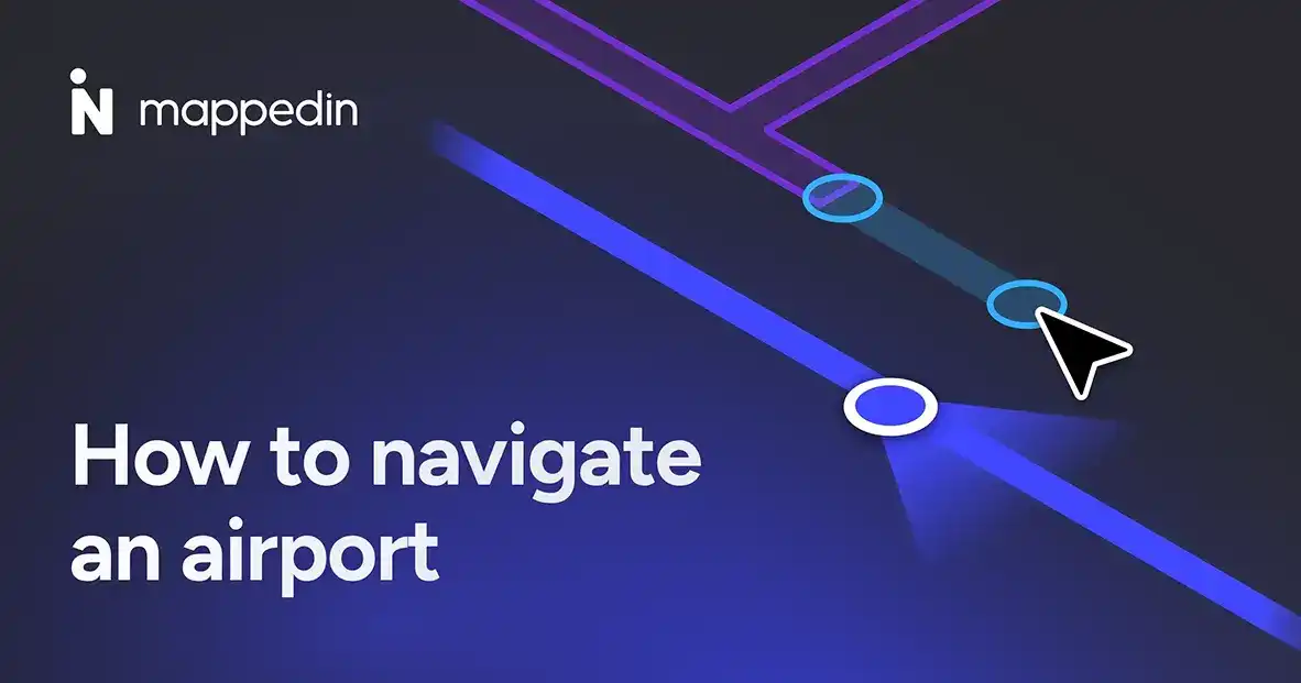 Traveller navigating an airport terminal